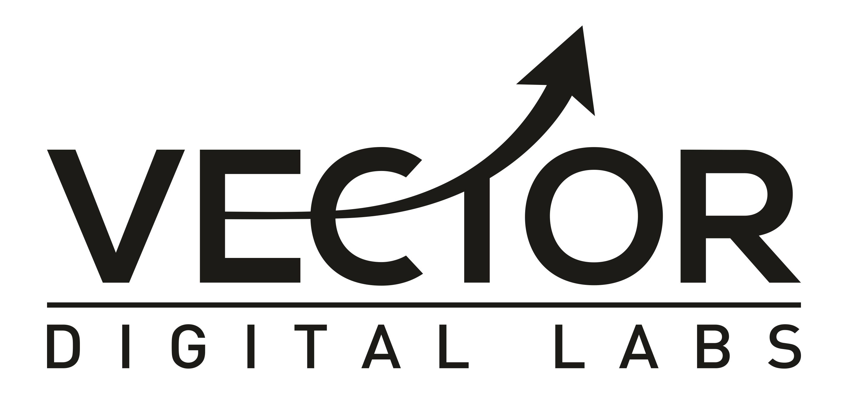 Vector Consulting Group Logo